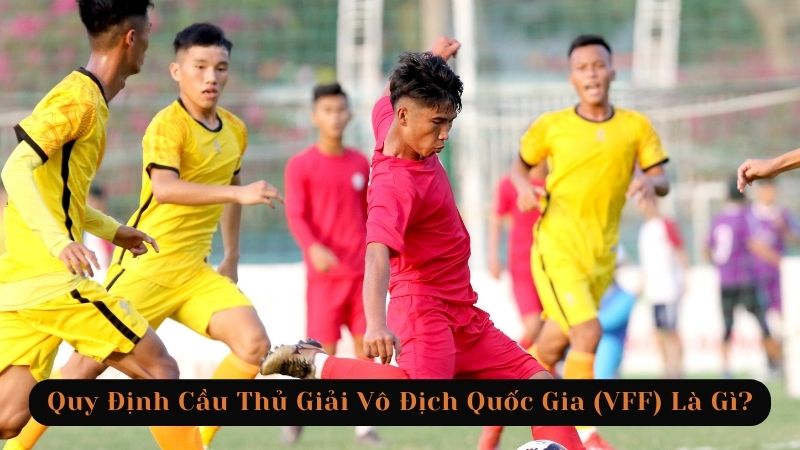 quy-dinh-cau-thu-giai-vo-dich-quoc-gia-1