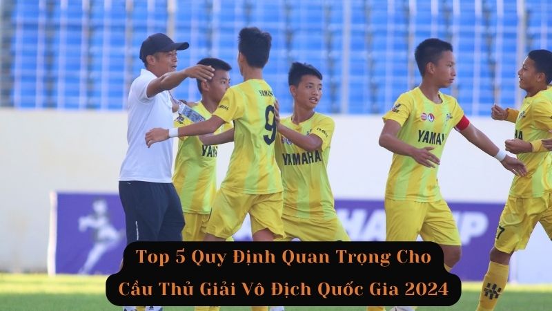 quy-dinh-cau-thu-giai-vo-dich-quoc-gia-12