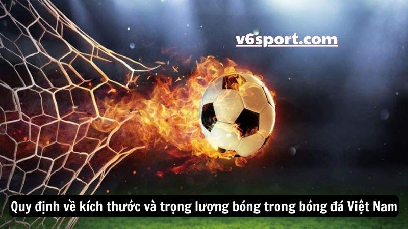 quy-dinh-ve-bong-trong-bong-da-viet-nam-1