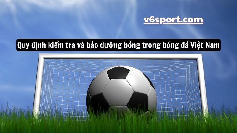 quy-dinh-ve-bong-trong-bong-da-viet-nam-3