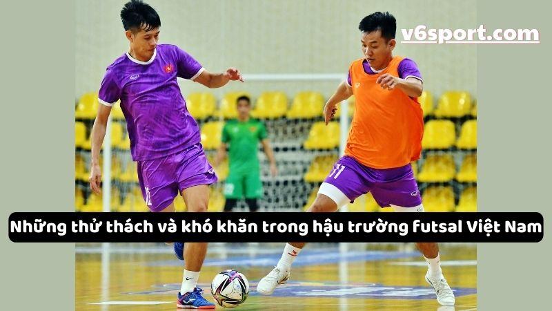 hau-truong-futsal-viet-nam-14