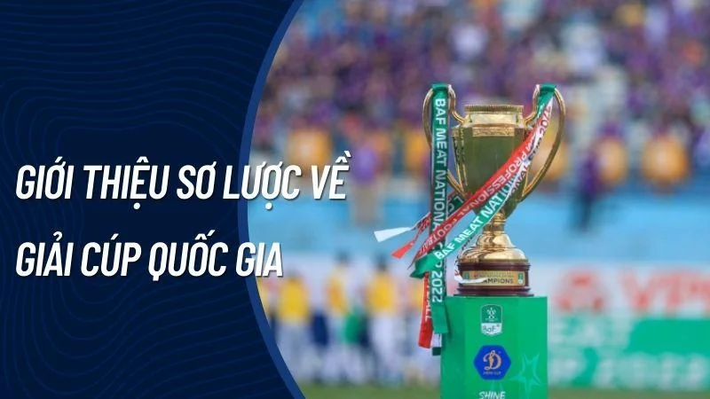 quy-dinh-thi-dau-giai-cup-quoc-gia-12