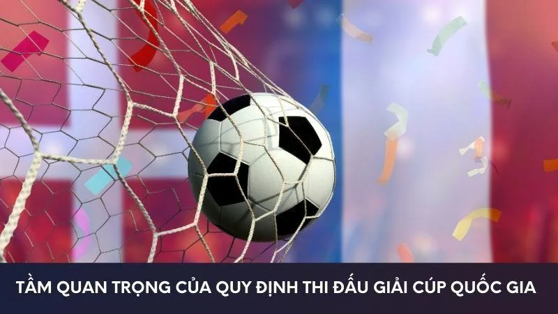 quy-dinh-thi-dau-giai-cup-quoc-gia-14
