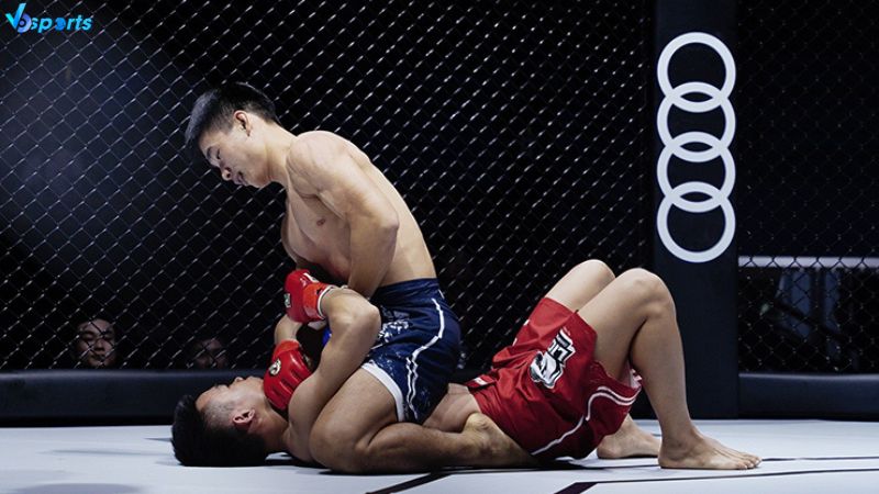 mma-viet-nam-tran-ngoc-luong-2